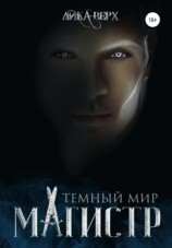читать Темный мир. Магистр