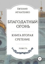 читать Благодатный огонь, книга вторая. «Сретение»