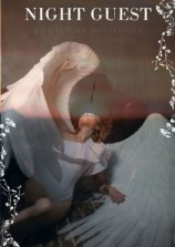 читать Night Guest