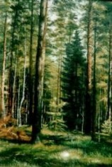 читать Лес   кормилец