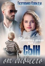 читать Новогодний роман, или Сын от бывшего