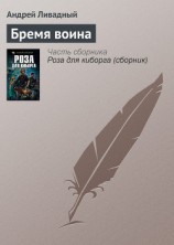 читать Бремя Воина