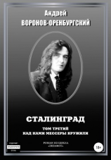 читать Сталинград. Том третий. Над нами мессеры кружили