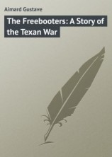читать The Freebooters: A Story of the Texan War