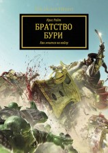читать Братство Бури