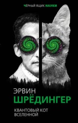 читать Квантовый кот вселенной