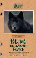 читать Волк по имени Ромео. Как дикий зверь покорил сердца целого города