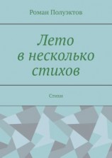 читать Лето в несколько стихов. Стихи