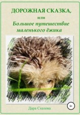 читать Дорожная сказка, или Большое путешествие маленького ёжика