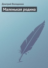 читать Маленькая родина