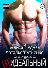 читать (Не)идеальный