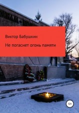 читать Не погаснет огонь Памяти