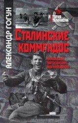 читать Сталинские коммандос. Украинские партизанские формирования, 1941-1944