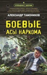 читать Боевые асы наркома