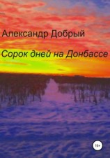 читать Сорок дней на Донбассе