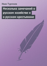 читать Несколько замечаний о русском хозяйстве и о русском крестьянине
