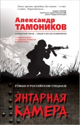 читать Янтарная камера