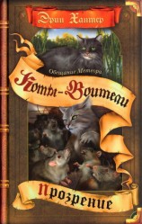 читать Обещание Метеора. Книга 2. Прозрение