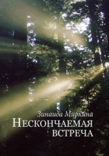 читать Нескончаемая встреча