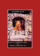 читать Плач за стеной из смеха или Ночное странствие ума. Часть 1