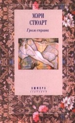 читать Гром справа