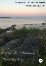 читать Поезд до Дублина