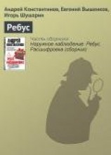 читать Ребус. Рассшифровка