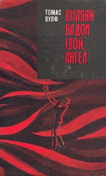 читать Взгляни на дом свой, ангел