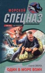 читать Один в море воин
