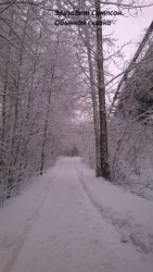 читать Обычная сказка