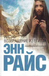 читать Иисус: Возвращение из Египта