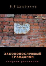 читать Законопослушный гражданин
