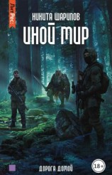 читать Иной мир. Дорога домой