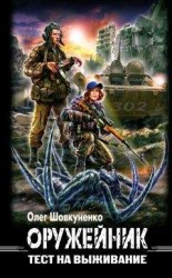 читать Оружейник. Тест на выживание