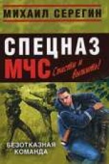 читать Безотказная команда