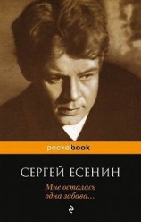 читать Мне осталась одна забава...