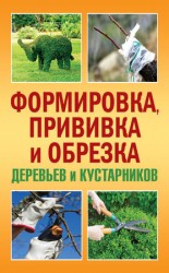 читать Формировка, прививка и обрезка деревьев и кустарников