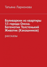 читать Боливаркин из квартиры 53 города Омска