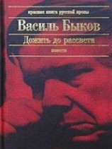 читать Дожить до рассвета