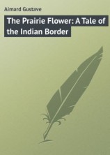 читать The Prairie Flower: A Tale of the Indian Border