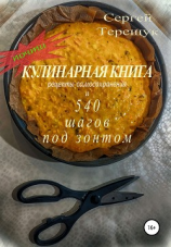 читать Почти кулинарная книга с рецептами самосохранения и 540 шагов под зонтом