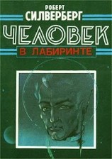 читать Человек в лабиринте