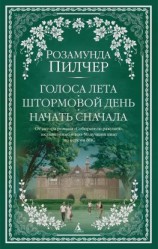 читать Голоса лета. Штормовой день. Начать сначала