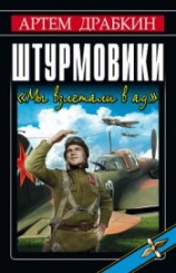 читать Штурмовики. «Мы взлетали в ад»