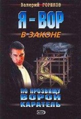 читать Каратель