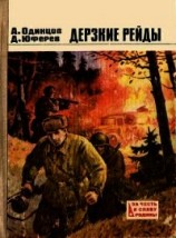 читать Дерзкие рейды (Повести)