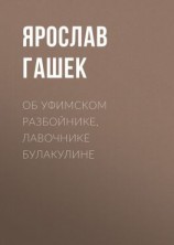 читать Об уфимском разбойнике, лавочнике Булакулине