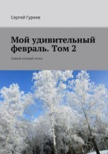 читать Мой удивительный февраль. Том 2. Самый лучший сезон
