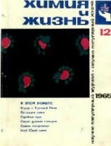 читать Пьяный паук