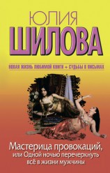 читать Мастерица провокаций, или Одной ночью перечеркнуть все в жизни мужчины